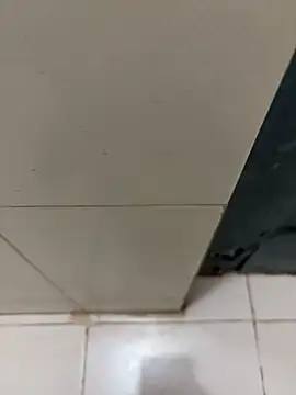 Snapshot of nangakings chatting on December 17, 2025, 3:17 pm nangakings online show from December 17, 2025, 3:17 pm