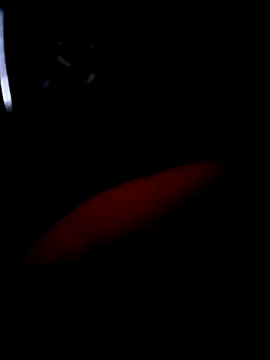 Snapshot of pascalino100 chatting on April 4, 2026, 12:01 pm pascalino100 online show from April 4, 2026, 12:01 pm