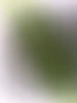 mrwright878787 online show from December 27, 2024, 7:14 pm