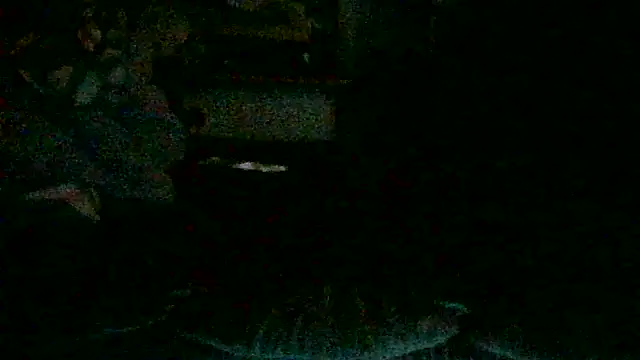 DI4MOND FIR3 online show from October 30, 2025, 2:47 pm