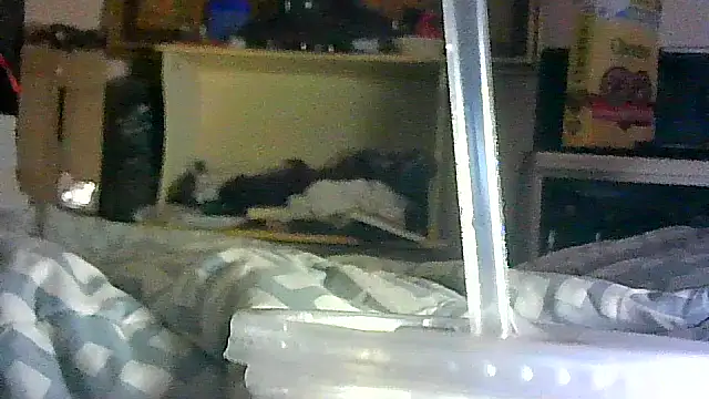 Snapshot of DI4MOND_FIR3 chatting on April 17, 2026, 2:53 pm DI4MOND FIR3 online show from April 17, 2026, 2:53 pm
