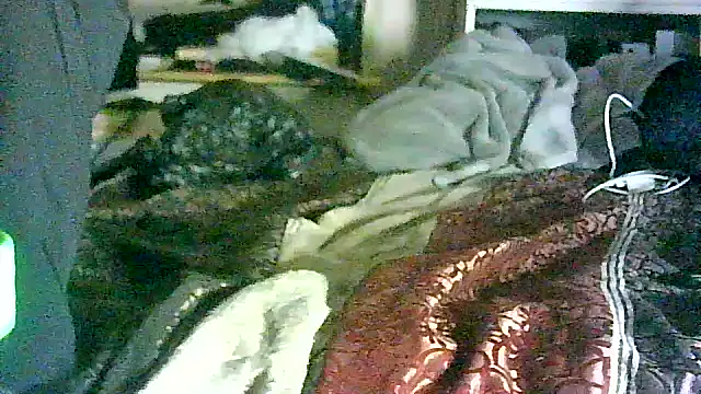 Snapshot of DI4MOND_FIR3 chatting on April 24, 2026, 2:02 am DI4MOND FIR3 online show from April 24, 2026, 2:02 am
