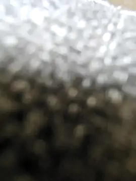 Moonbadboyss online show from October 9, 2025, 8:04 am