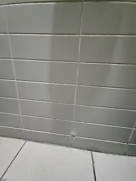 Moonbadboyss online show from October 8, 2025, 2:29 pm