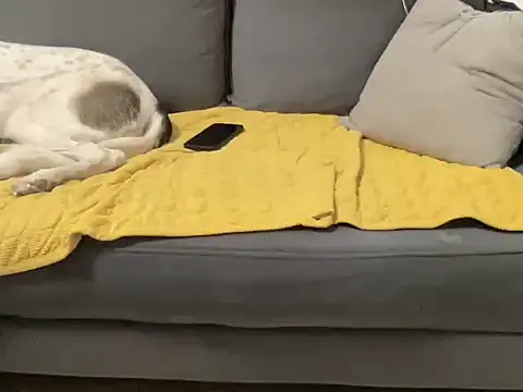 4small4inchlol online show from October 29, 2025, 4:39 pm