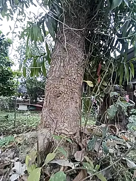 Snapshot of Fuckmehard2xx chatting on March 9, 2025, 9:35 am Fuckmehard2xx online show from March 9, 2025, 9:35 am