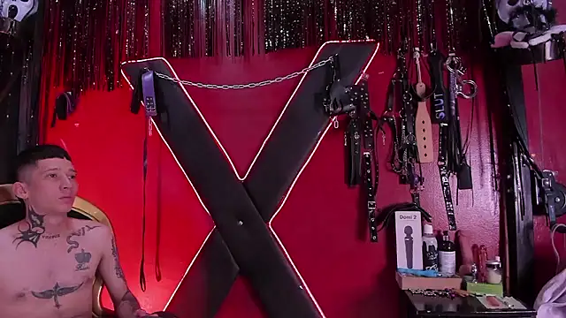 Snapshot of alexa_n_alex chatting on January 7, 2026, 6:24 pm alexa n alex online show from January 7, 2026, 6:24 pm