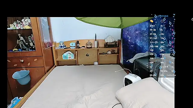 Fine-sand online show from March 20, 2025, 2:10 pm