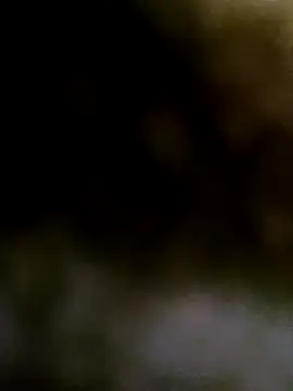 Bulbul 02 online show from February 13, 2025, 5:37 am