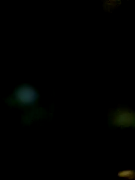 JAWHARA  online show from December 14, 2025, 10:04 pm