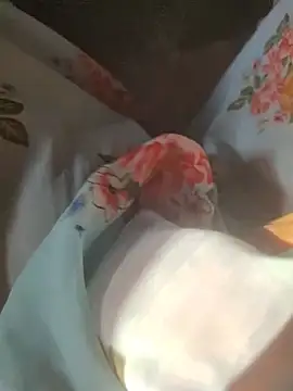 Snapshot of iaparna chatting on December 2, 2024, 4:05 am iaparna online show from December 2, 2024, 4:05 am