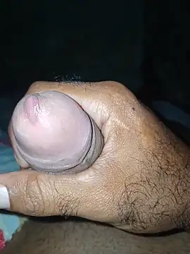 taylorWiiz online show from November 26, 2025, 4:56 am