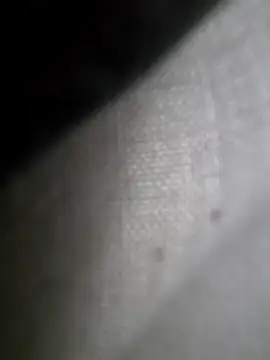 Snapshot of hungarian_dick chatting on February 2, 2025, 11:18 am hungarian dick online show from February 2, 2025, 11:18 am