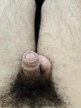 Snapshot of hungarian_dick chatting on February 7, 2025, 9:05 am hungarian dick online show from February 7, 2025, 9:05 am