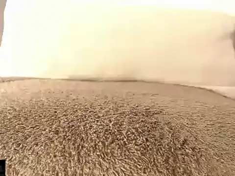 Snapshot of mikellwilliams10 chatting on March 15, 2025, 1:29 pm mikellwilliams10 online show from March 15, 2025, 1:29 pm