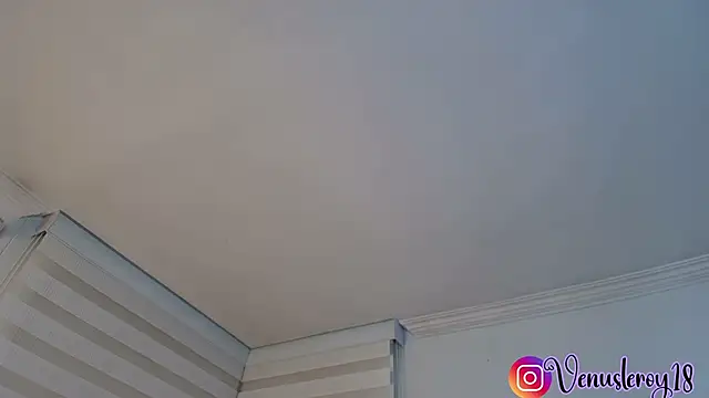 Snapshot of venusleroy_ chatting on December 3, 2025, 10:42 pm venusleroy online show from December 3, 2025, 10:42 pm