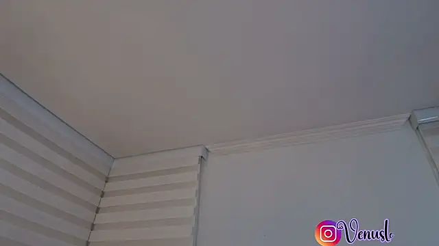 Snapshot of venusleroy_ chatting on December 4, 2025, 11:15 pm venusleroy online show from December 4, 2025, 11:15 pm