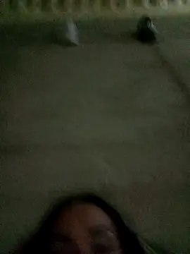 Ariatrans online show from September 25, 2025, 11:11 pm