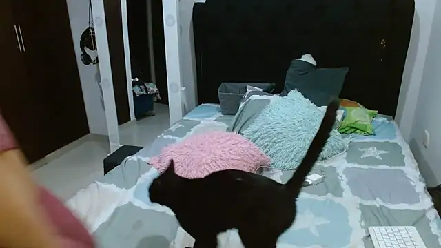 Snapshot of amazonafit_ chatting on February 27, 2025, 4:13 am amazonafit online show from February 27, 2025, 4:13 am