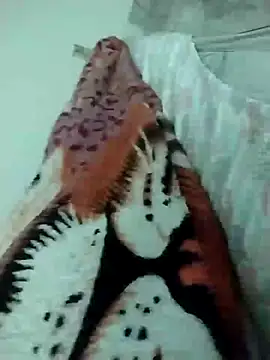 Snapshot of lm279 chatting on March 16, 2025, 9:16 am lm279 online show from March 16, 2025, 9:16 am