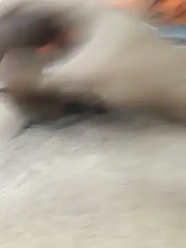 Snapshot of lm279 chatting on February 11, 2026, 3:45 pm lm279 online show from February 11, 2026, 3:45 pm