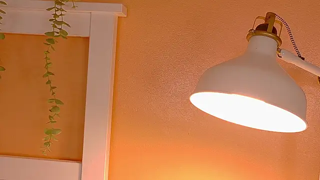 ParisFox  online show from December 20, 2025, 1:08 am