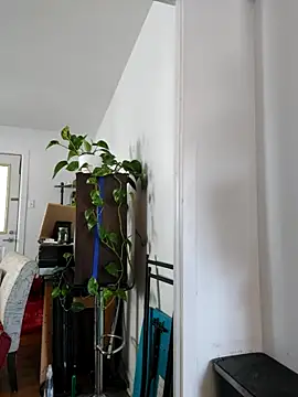 QcMisterv13 online show from September 30, 2025, 2:23 pm