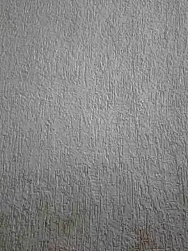 Snapshot of Priya_Strip chatting on May 3, 2026, 11:47 am Priya Strip online show from May 3, 2026, 11:47 am