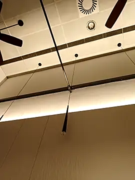 DDYY12341 online show from November 4, 2025, 2:32 pm