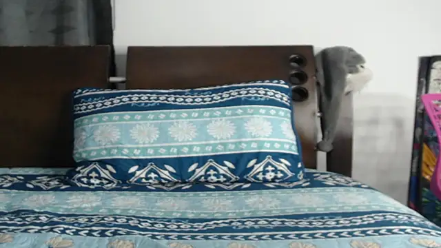 Tobicutee online show from February 5, 2026, 4:19 am