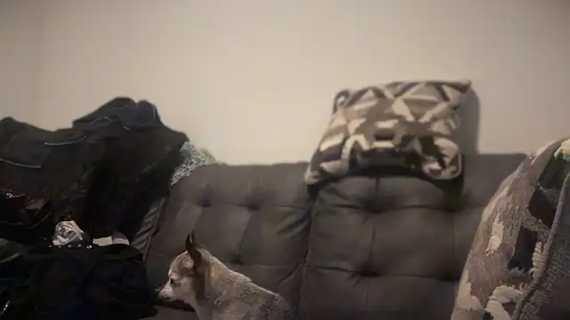 RavenRayyy online show from October 22, 2025, 4:34 am