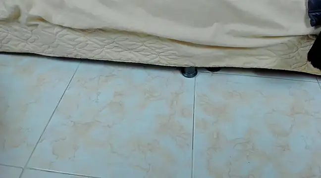 Snapshot of Chloe_lauren chatting on January 13, 2025, 11:06 pm Chloe lauren online show from January 13, 2025, 11:06 pm