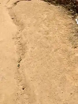 Shangi studio online show from April 6, 2026, 2:51 pm