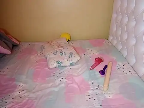 Snapshot of silentkillaz chatting on January 29, 2025, 7:04 am silentkillaz online show from January 29, 2025, 7:04 am