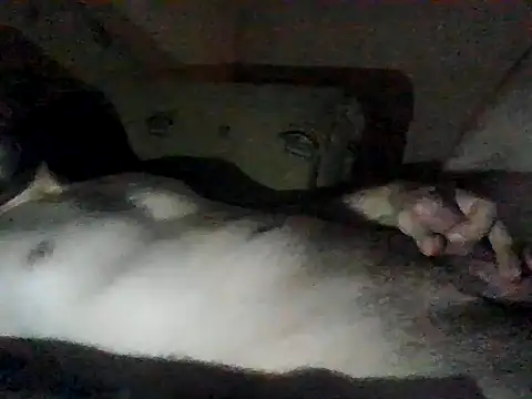 Snapshot of Vicktore007 chatting on September 13, 2025, 9:37 pm Vicktore007 online show from September 13, 2025, 9:37 pm