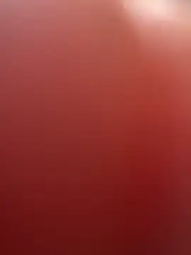 portugadopau online show from September 10, 2025, 4:06 pm