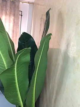 EmmaRossem online show from March 31, 2026, 7:38 pm