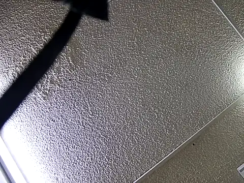 Snapshot of yajahil chatting on November 28, 2025, 7:36 pm yajahil online show from November 28, 2025, 7:36 pm