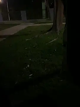 Snapshot of Pa_lasnenas1 chatting on February 12, 2025, 10:59 pm Pa lasnenas1 online show from February 12, 2025, 10:59 pm