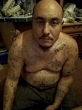 Snapshot of wilsons12 chatting on November 19, 2025, 5:29 am wilsons12 online show from November 19, 2025, 5:29 am