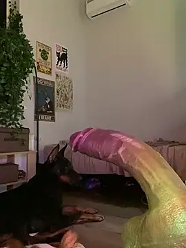 DaisyBooom online show from January 28, 2025, 7:00 pm