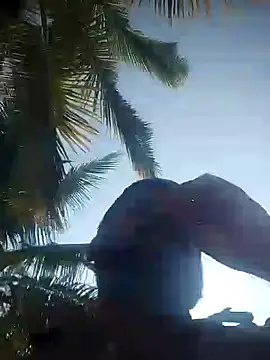 bulunchu online show from December 19, 2024, 4:02 am