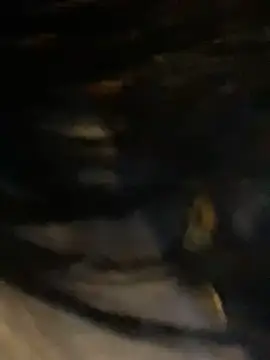 Snapshot of sophie_conor chatting on January 29, 2025, 10:32 pm sophie conor online show from January 29, 2025, 10:32 pm