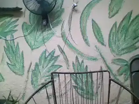 Snapshot of friendsloversex chatting on March 21, 2025, 5:02 pm friendsloversex online show from March 21, 2025, 5:02 pm