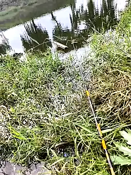 huzi518 online show from October 7, 2025, 6:36 am