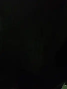 Snapshot of ALEX-BHASHI chatting on October 14, 2025, 1:28 am ALEX-BHASHI online show from October 14, 2025, 1:28 am