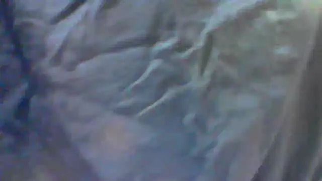 Snapshot of collage_hoty chatting on September 24, 2025, 5:30 pm collage hoty online show from September 24, 2025, 5:30 pm