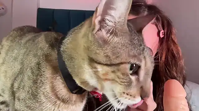 alice guerin  online show from February 20, 2026, 6:26 am