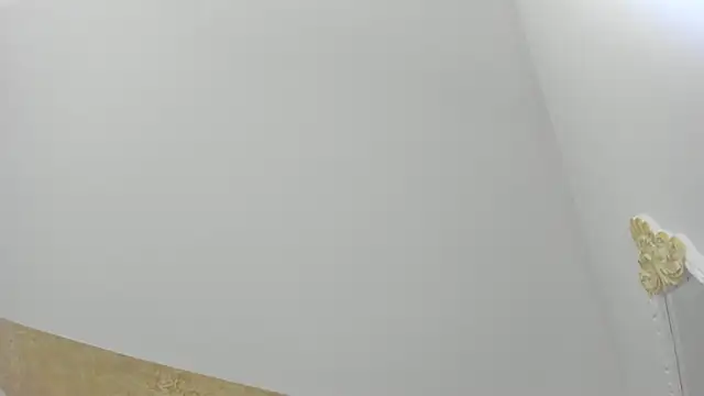 PandoraRider online show from March 31, 2026, 12:51 pm