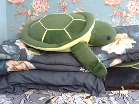 Snapshot of Tiny_lusty chatting on March 11, 2025, 6:41 pm Tiny lusty online show from March 11, 2025, 6:41 pm